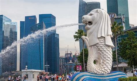 植物分析 新加坡 噴水獅